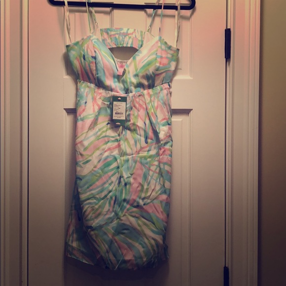 NWT Lilly Pulitzer Dorothy Dress sz 6 - Picture 3 of 6